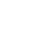 Sanity