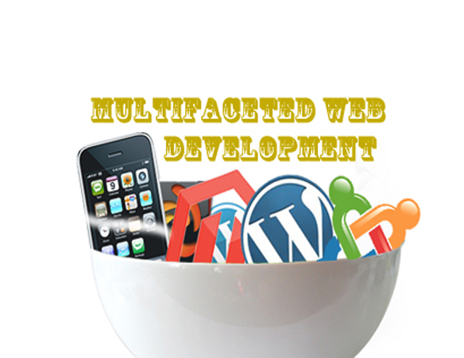 How A Multifaceted Web Development Company Can Help You