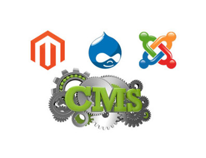 Top 5 Reasons To Use A CMS System For Your Website