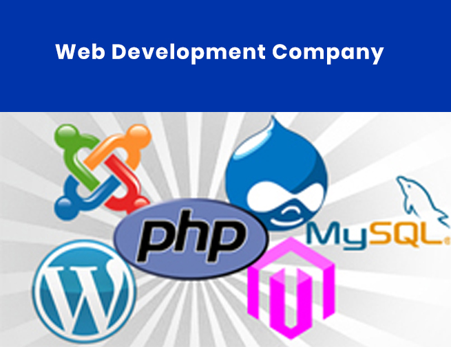 Why Go With An Offshore Web Development Company