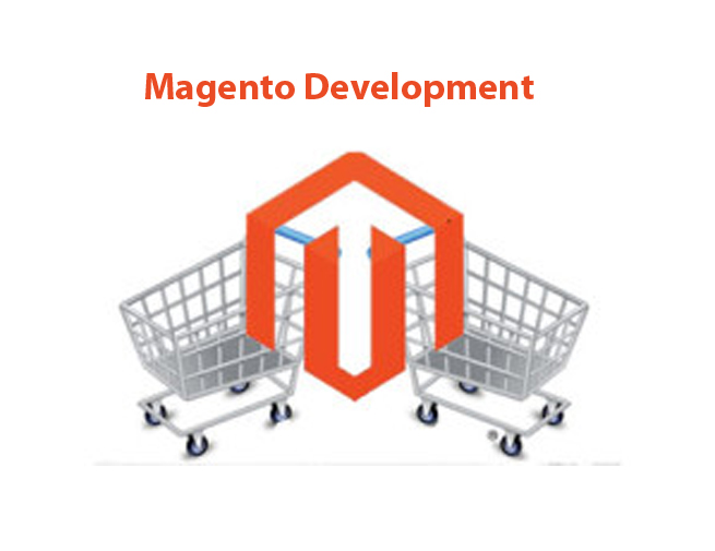 Magento Development To Build An Enterprise Ecommerce Store