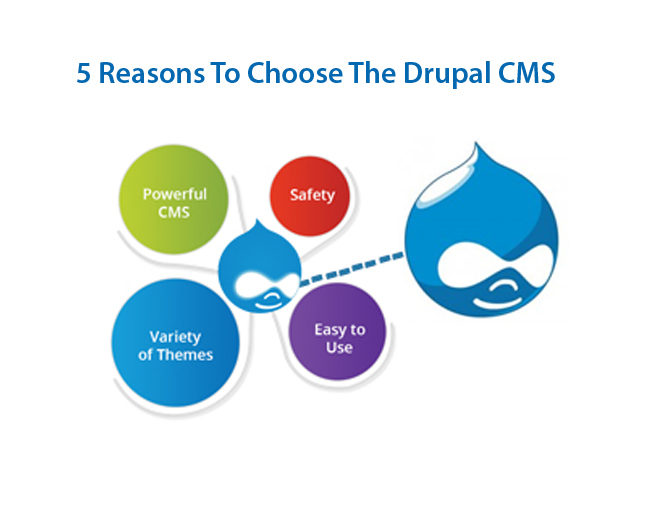 5 Reasons To Choose The Drupal CMS For Your Business Website