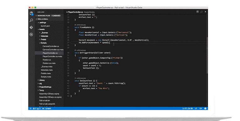 Web Development
