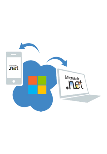 dot net development company