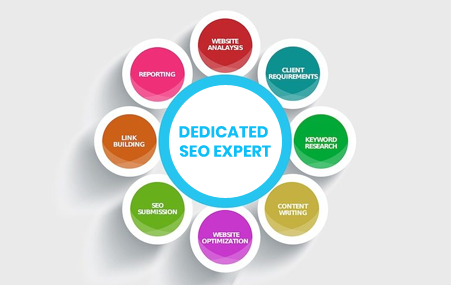 hire seo professional india