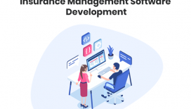Insurance Management Software Development