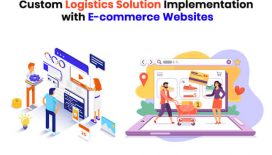 Custom Logistics Solution Implementation with E-commerce Websites