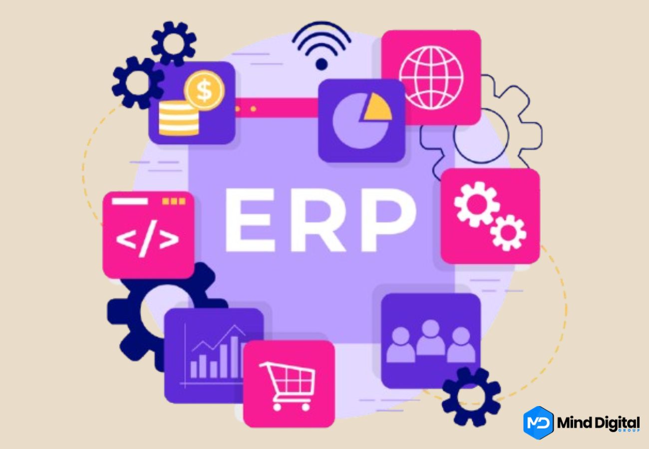 Odoo ERP implementation