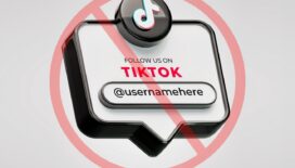 Which countries have banned TikTok and why?