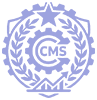 cms website development